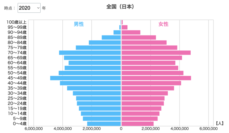 2020年の人口構造